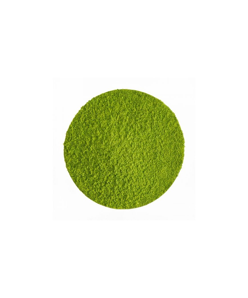 Matcha Japonais de Cérémonie "Hisui" BIO - poudre 100g