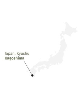 Gyokuro Mikoto BIO - thé vert vrac 50/100g